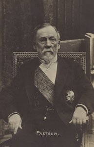 Louis Pasteur (1822-1895), französischer Chemiker und Mikrobiologe von French Photographer