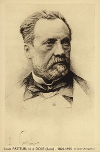 Louis Pasteur (1822-1895), französischer Chemiker und Mikrobiologe
