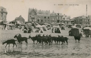 Mers - ein Teil des Strandes