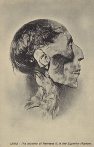 Mumie von Ramses II. von French Photographer