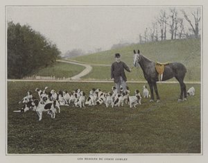 Die Beagles von Graf Cowley von French Photographer