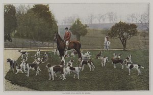 Tom Firr und die Hunde der Quorn Hunt, Leicestershire von French Photographer