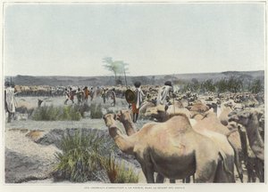 Die Kamele an der Quelle in der Wüste tränken von French Photographer