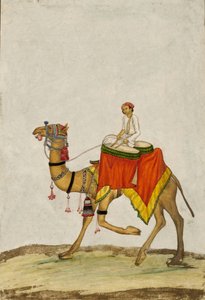 Ein Kamel mit seinem Reiter, der Trommeln spielt, um 1840 von French School