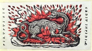 Ein Salamander, erste Hälfte des 16. Jahrhunderts