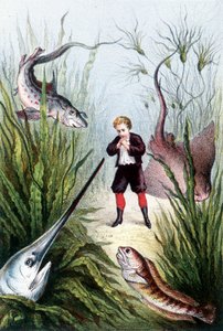 Ein Junge umgeben von riesigen Fischen - in "Reise zum Meeresgrund" von H. de la Blanchère. Paris, ed. Jouvet et Cie, sd. 1880. (doppelt 02941) von French School