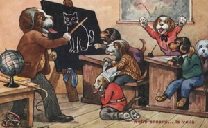 Ein Klassenzimmer voller Hunde