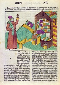 Ein Patient mit einem Arzt und einem Apotheker, aus Le Livre des Proprietes des Choses von Barthelemy l