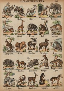 Das ABC der Tiere von French School
