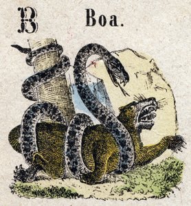 Abecedarium. Buchstabe B wie Boa. Kleines enzyklopädisches Alphabet, beliebte Serie. Epinaler Bildgebung, Ende des 19. Jahrhunderts