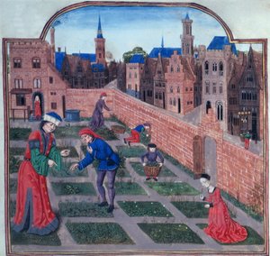 Ein ummauerter Kräutergarten in einer Stadt, aus Livre des profits ruraux von Piero de Crescenzi aus Bologna von French School