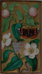Blumen und Schmetterling, aus einem Stundenbuch, Paris