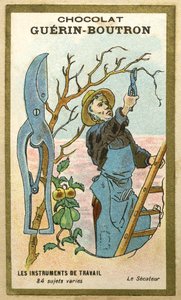 Werbe-Chromolithographie von Guerin Boutron Schokoladen, Arbeitsinstrumente, 84 verschiedene Motive, Baumschere von French School
