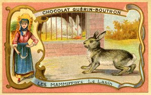 Werbe-Chromolithographie von Schokoladen Guerin Boutron, Säugetiere, Der Kaninchenkäfig und Wildgehege von French School