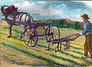 Landwirtschaft: eine der ersten mechanischen Hackmaschinen mit Tierzug, verwendet in einem Rübenfeld