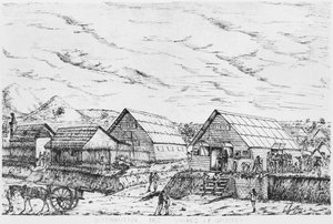 Album der Isle of Pines, Verteilung der Vorräte, 1878-79