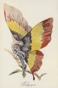 Allegorische Darstellung Belgiens als Schmetterling von French School