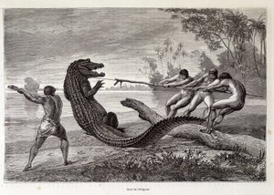 Alligatorjagd, Brasilien, „Rund um die Welt“ 2. Woche 1874