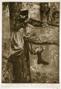 Ein algerischer Scharfschütze bei der Arbeit im Schutz eines Waldes, 1914-19