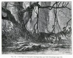 Eine elektrische Telegrafenleitung in einem amerikanischen Wald, ca. 1870 (Stich)