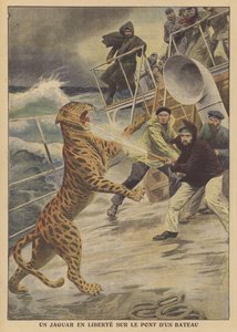 Ein entkommener Jaguar auf einem Schiff von French School