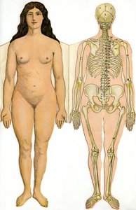 Anatomische Faltkarte der Neuen Praktischen Enzyklopädie der Medizin und Hygiene, von Dr. Rehm, Buchhandlung Aristide Quillet 1922 - menschlicher Körper - nackte Frau und weibliches Skelett