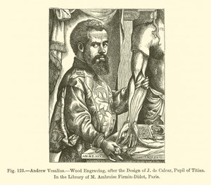 Andreas Vesalius (Gravur)