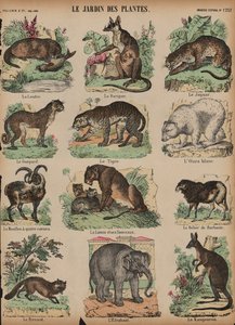 Tiere im Jardin des Plantes, Paris, Frankreich von French School