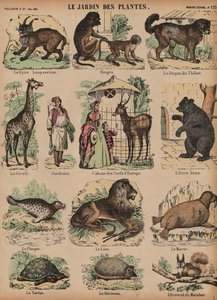 Tiere des Jardin des Plantes, Paris, Frankreich von French School