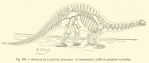 Tiere der Jura-Periode, der Brontosaurus von French School