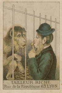 Affe und Mensch von French School