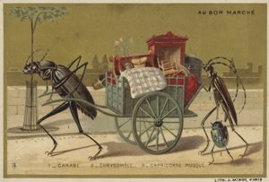 Au Bon Marché-Karten mit anthropomorphen Insekten von French School