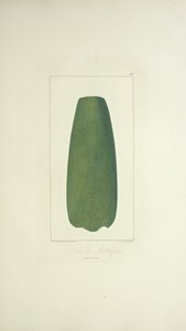 Aztekische Axt, Illustration aus 