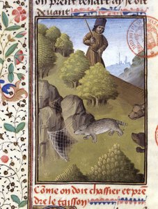 Dachsjagd - in „Jagd Buch von Gaston Phoebus, Graf von Foix, Herr von Béarn“ von French School