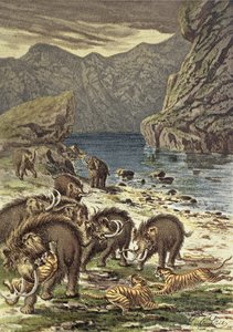 Kampf zwischen Mammuts und Säbelzahntigern, aus Le Monde Avant la Création d