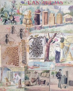Bienenzucht, Illustration in Frankreich erstellt für die Veröffentlichung in Mexiko, ca. 1900 von French School