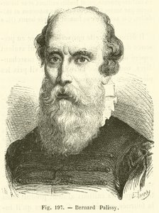 Bernard Palissy von French School