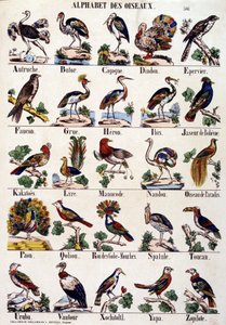 Vogelalphabet