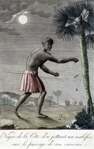 Schwarzer von der Côte d