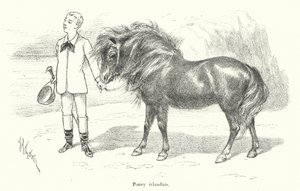 Junge mit einem irischen Pony (Gravur)