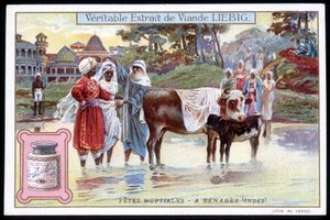 Hochzeitsfeste in Benares, Indien - Chromolithographie. Liebig, ca. 1895 von French School