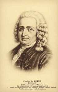Carl von Linné, schwedischer Botaniker und Zoologe