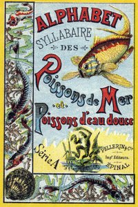 Umschlag von "Syllabary alphabet of marine and freshwater fish"