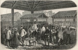 Cree de la viande de boucherie auf dem Markt der Rue des Prouvaires im 1. Arrondissement von Paris - Gravur in „Tableau-de-Paris“ von Edmond Texier 1852