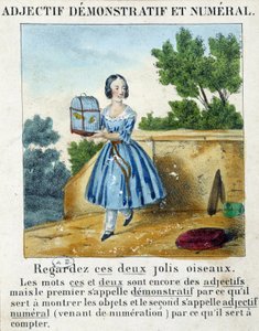 Demonstrativ- und Zahladjektiv (ein Mädchen trägt einen Käfig mit 2 Vögeln) - in „La grammaire en images“ von French School