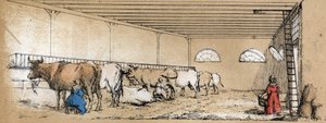 Beschreibung der verschiedenen Produkte und Verwendungen der Kuh: Melken und Produktion von Kuhmilch, gesehen aus einem Stall. Tafel „La coache et ses produits“ in „les Recreations instructives“ Synoptisches Gemälde von Jules Delbruck, Gravur von 1860. Pri von French School
