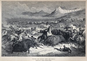 Entdeckung Kanadas: Bisonjagd der Sioux. Zeichnung von Gustave Doré nach Catlin. Gravur aus dem späten 19. Jahrhundert in „La nouvelle France“ von Eugène Guénin