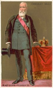 Dom Pedro II., Kaiser von Brasilien von French School