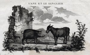 Esel und Wildschwein. Fabel von Äsop. (Griechischer Schriftsteller Äsop, 6. Jahrhundert v. Chr.) Geschrieben von Guillaume Montfort und graviert von Beauble im Jahr 1801. von French School
