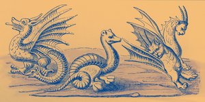Drachen